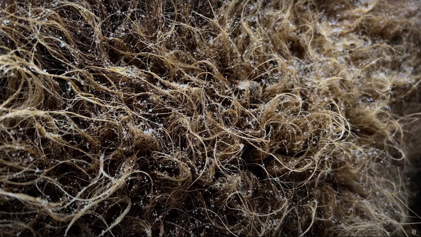 Bison Wool Infinity Scarf