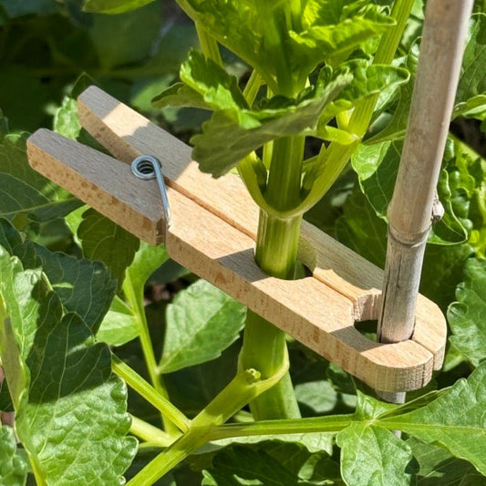 Plant Clamps - Replacement for Ties