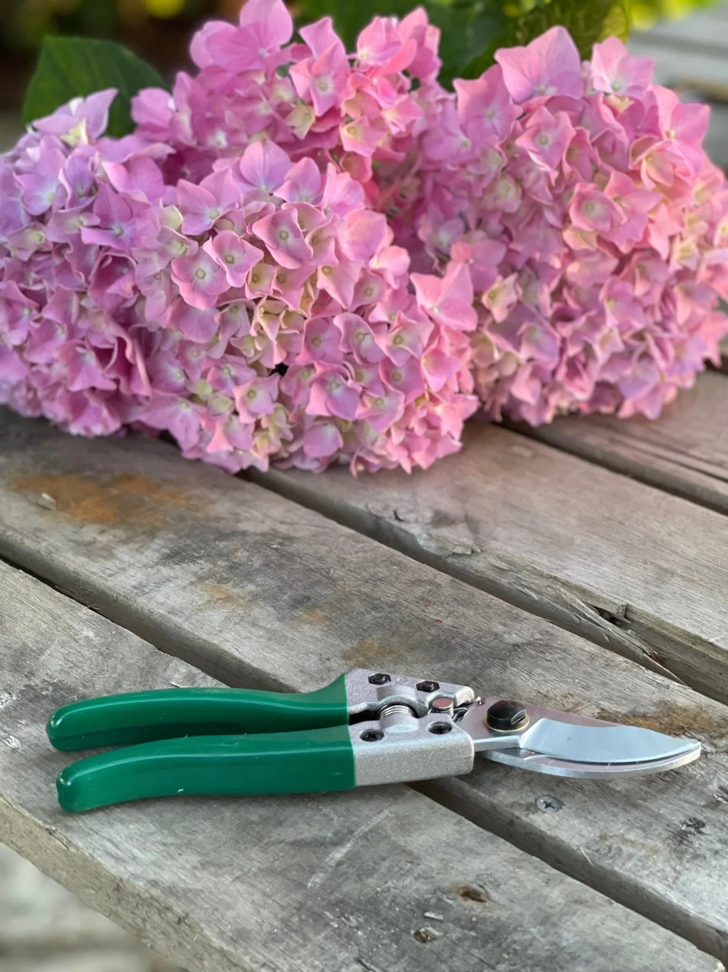 Gardening Gift Box - Belt, Hori Hori and Pruners