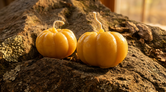 Harvest Squash Pure Beeswax Candle