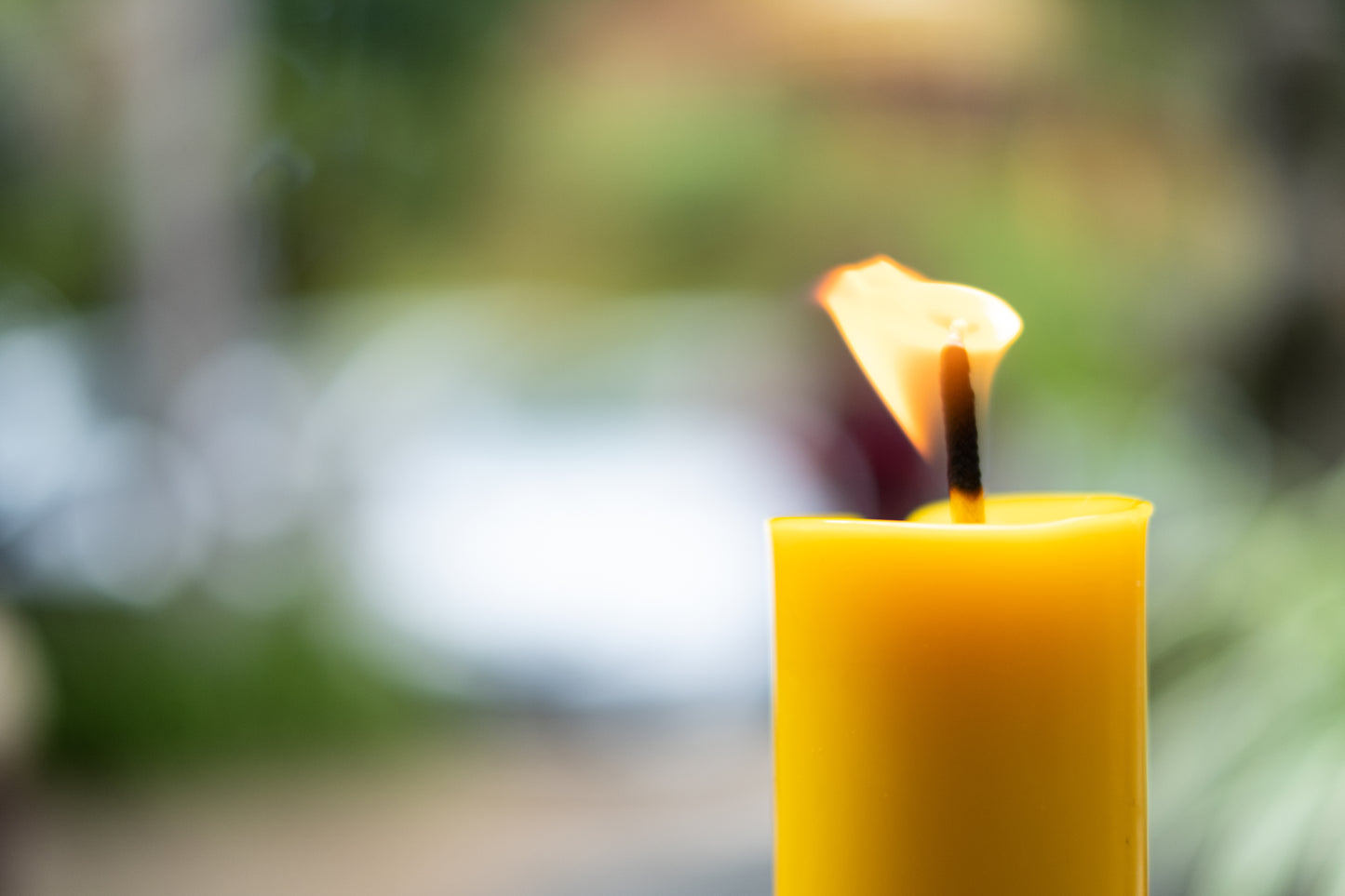 (6 pack) Pure Beeswax Taper Candles