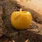 Apple with Leaf Pure Beeswax Candle