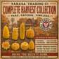 Complete Harvest — Pure Beeswax Fall Candle Collection