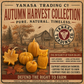Autumn Harvest — Pure Beeswax Fall Candle Collection