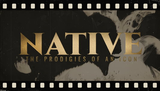 DONATE TO THE NATIVE FILM PROJECT