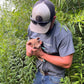 Whole Hog Herd Share Red Wattle Hogs (Heritage Pork) - Deposit and Contract