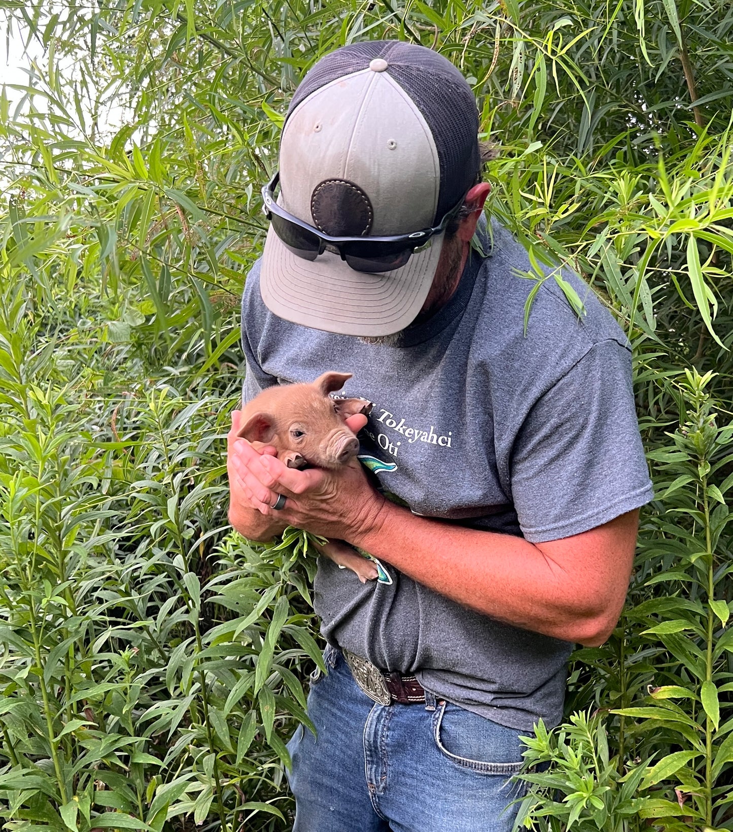Whole Hog Herd Share Red Wattle Hogs (Heritage Pork) - Deposit and Contract