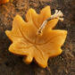 Autumn Harvest — Pure Beeswax Fall Candle Collection