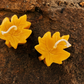 Maple Leaf Pure Beeswax Candle