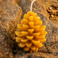 Woodland Harvest — Pure Beeswax Candle Collection