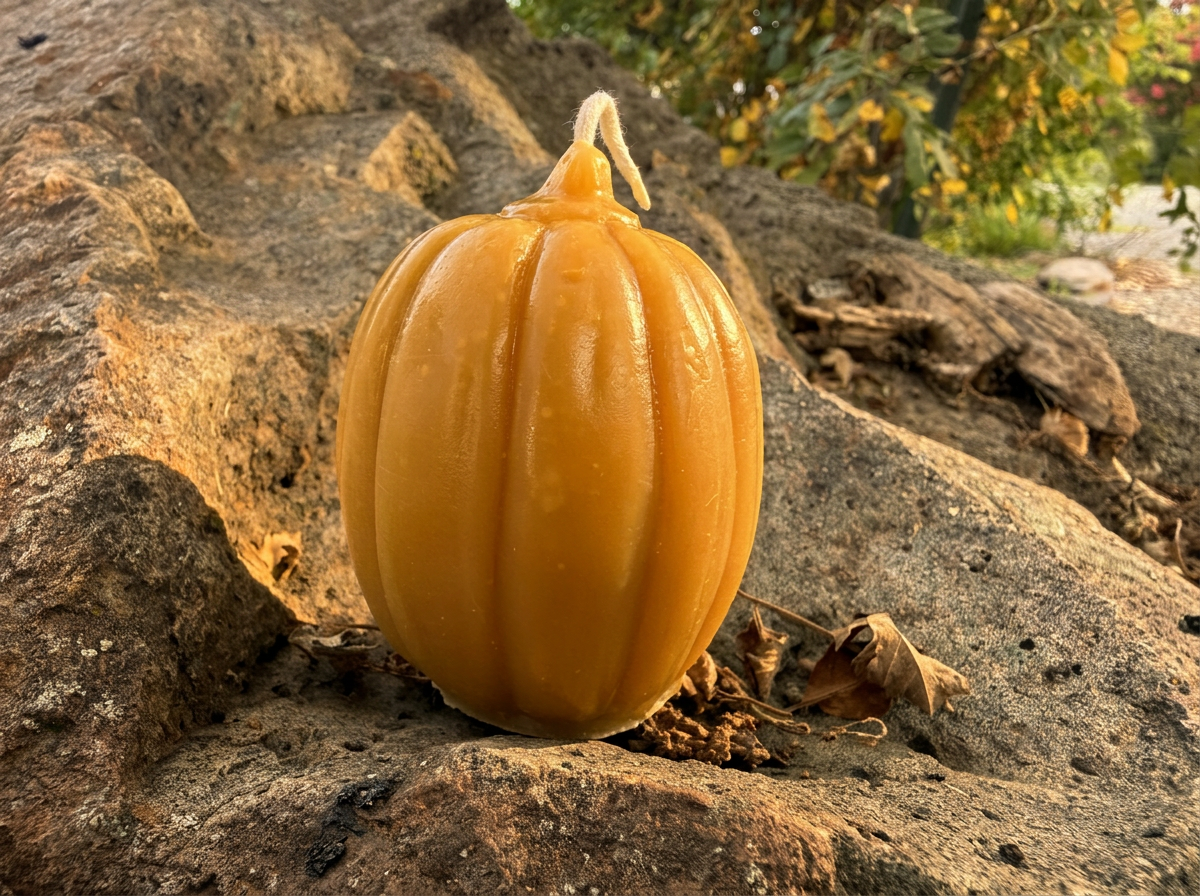 Autumn Harvest — Pure Beeswax Fall Candle Collection