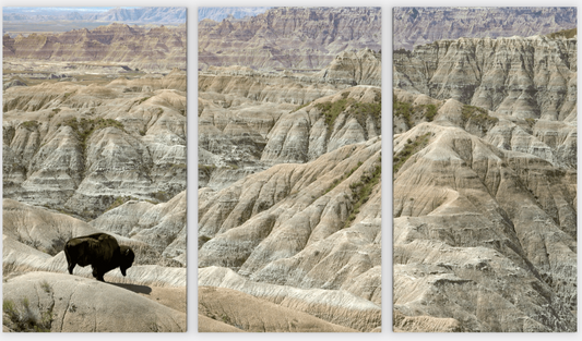 Badlands Bison Bull Lookout Tryptych (LIMITED 25 PRINTS)