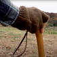 EXTREME FINGERLESS BISON WOOL GLOVES