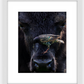 Bison Bird Framed Print (SPECIAL LIMIT 5)