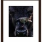 Bison Bird Framed Print (SPECIAL LIMIT 5)