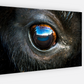 Bison Eye Canvas Print (SPECIAL LIMIT 5)