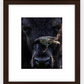 Bison Bird Framed Print (SPECIAL LIMIT 5)