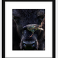 Bison Bird Framed Print (SPECIAL LIMIT 5)