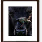 Bison Bird Framed Print (SPECIAL LIMIT 5)