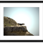 Big Basin Vulture Framed Print