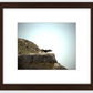 Big Basin Vulture Framed Print