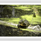 Saint Joseph's Well Turtle Framed Print