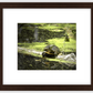 Saint Joseph's Well Turtle Framed Print