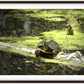 Saint Joseph's Well Turtle Framed Print