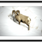 Yellowstone Winter Longhorn Framed Print