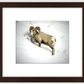 Yellowstone Winter Longhorn Framed Print