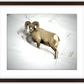 Yellowstone Winter Longhorn Framed Print