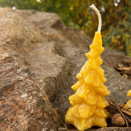 Woodland Christmas — Pure Beeswax Candle Collection