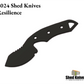 2024 Resilience