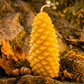 Woodland Harvest — Pure Beeswax Candle Collection