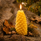 Conifer Cone Pure Beeswax Candle