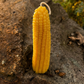 Complete Harvest — Pure Beeswax Fall Candle Collection