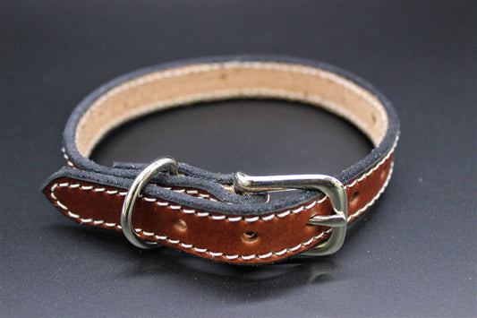 Dog Collar