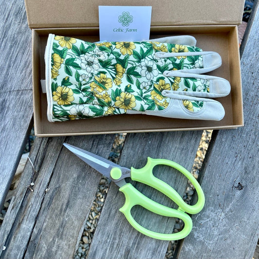 Garden Gift Box - Gloves and  Herb Snips