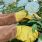 Rose Gardener Gift Box | Rose Gloves, Belt & Pruners