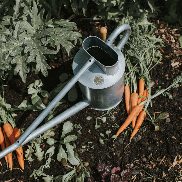 The Warley Fall - Two Gallon HDG in Galvanized – Yanasa Trading Company